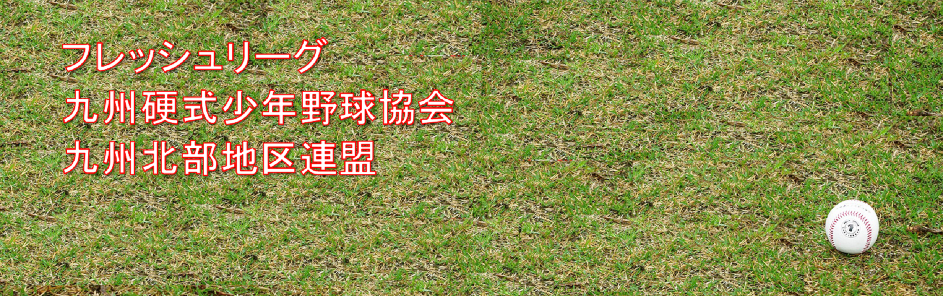 フレッシュリーグ